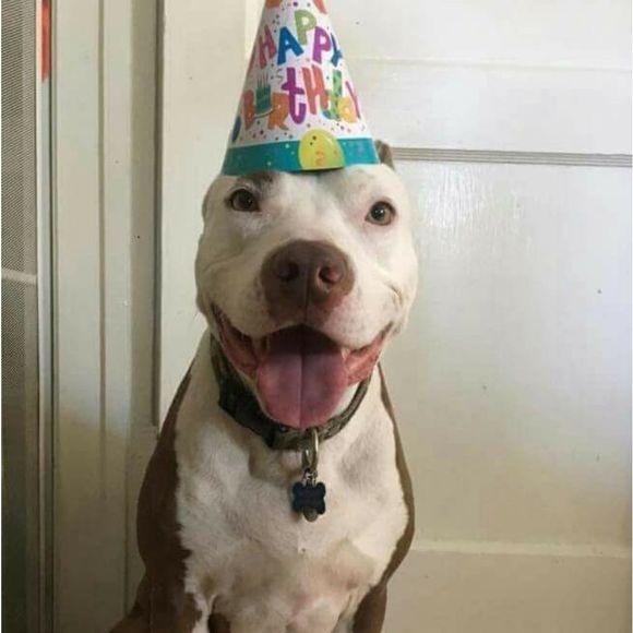 Never Selling! Who Saved Whom?! - Picture 8 of 10